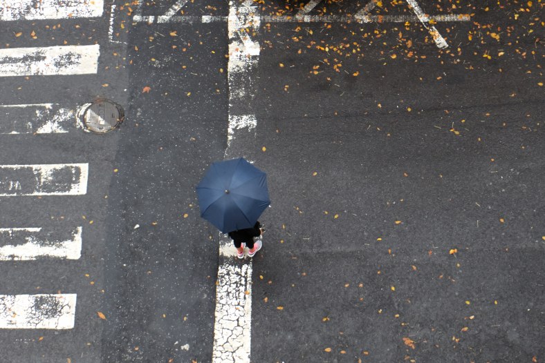 Umbrella in the Street